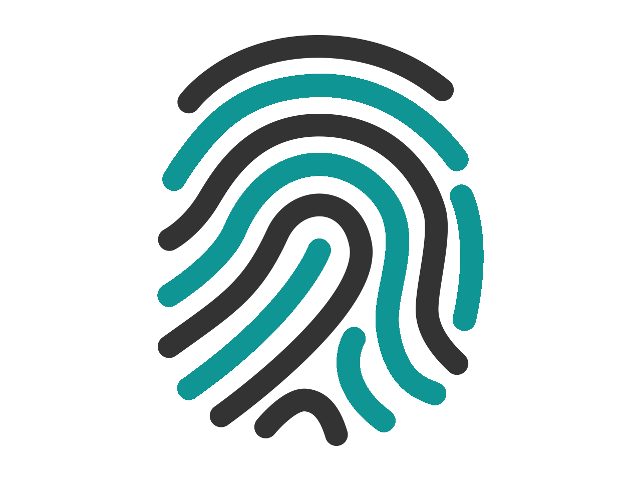 fingerprint